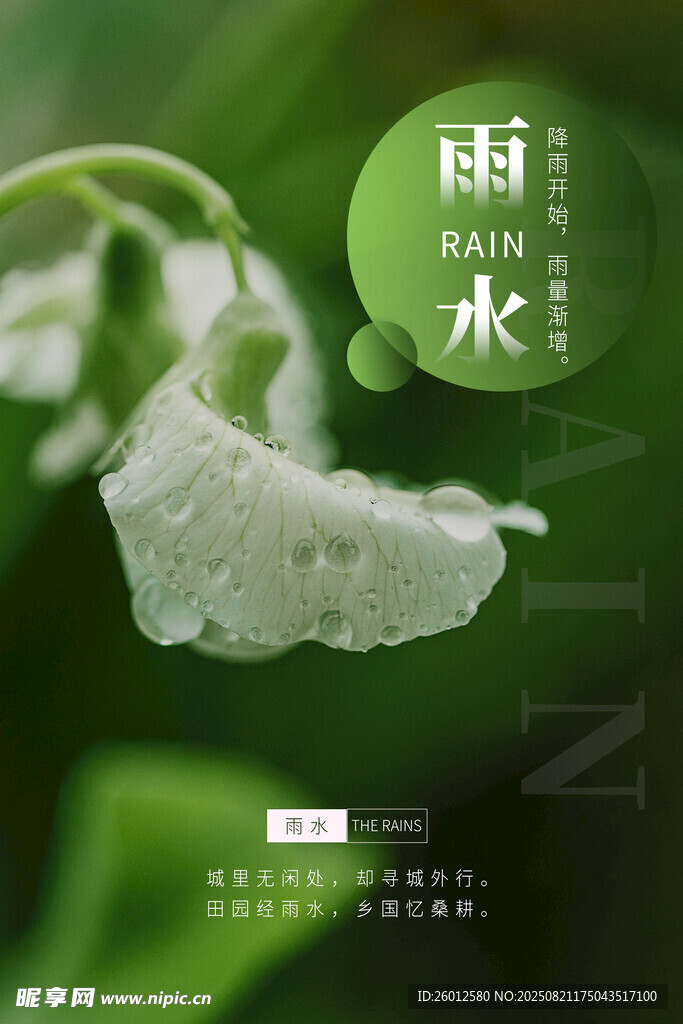 雨水 二十四節(jié)氣