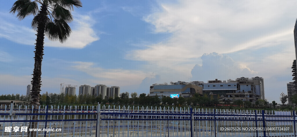 傍晚的海濱城市風光