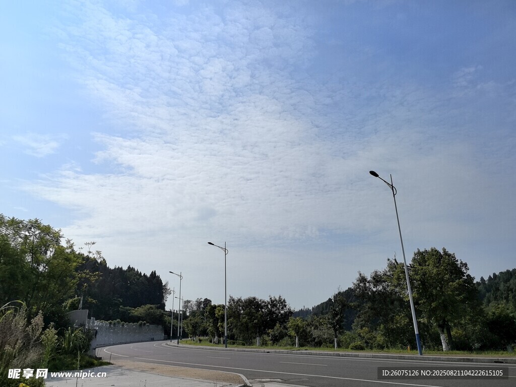 寬闊公路邊的路燈與綠樹