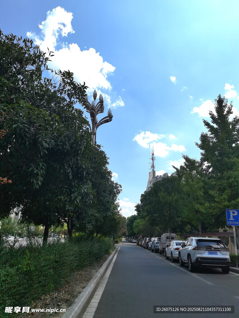 夏日林蔭街道風(fēng)景