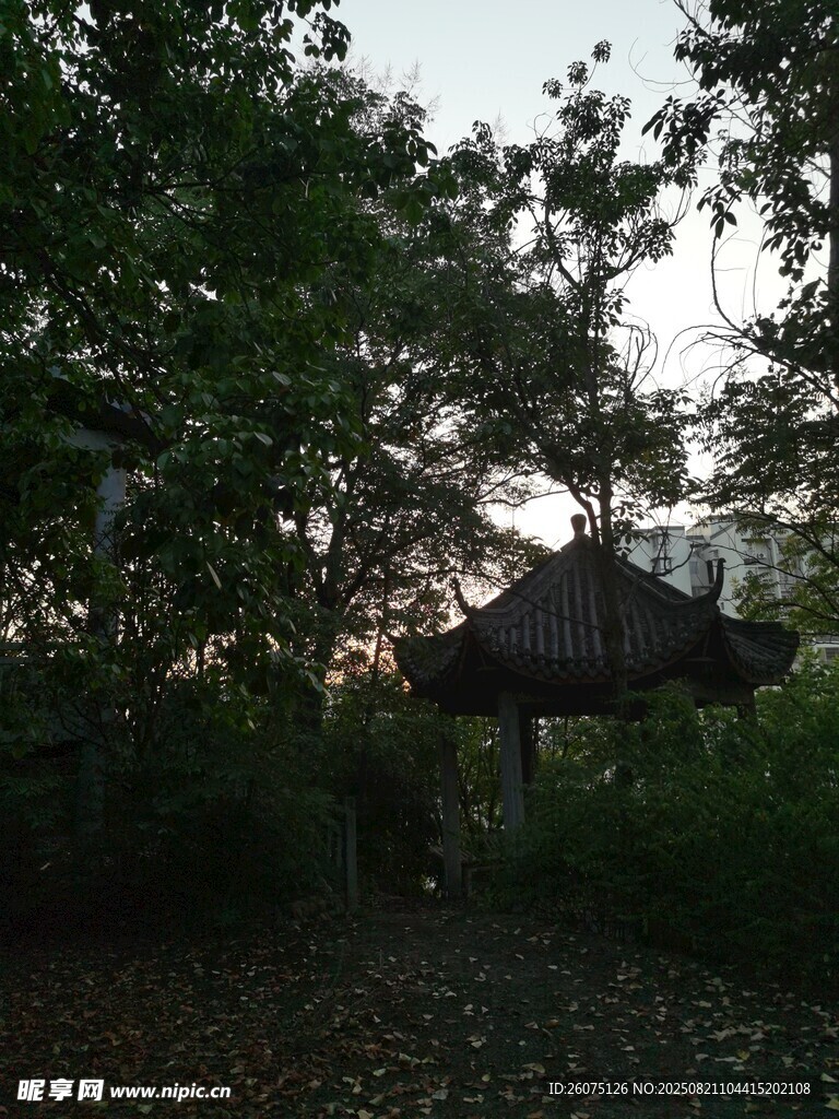 黃昏下的林間小亭