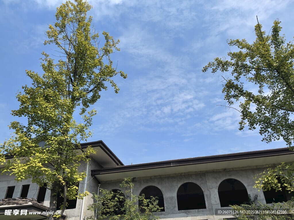 庭院綠樹(shù)環(huán)繞的古典建筑