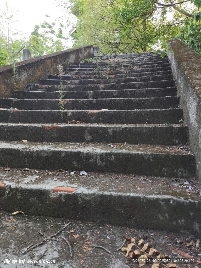 廢棄石階上的自然痕跡