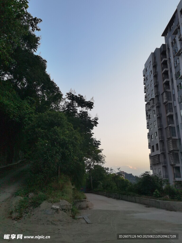 城郊小路旁的高樓與綠樹