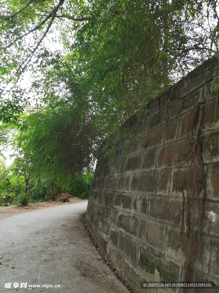 石墻旁的綠蔭小道