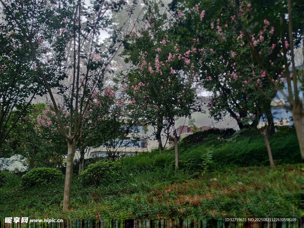 城市中蔥郁的樹木與草地
