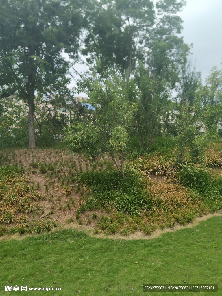 綠意盎然的戶外園林景觀