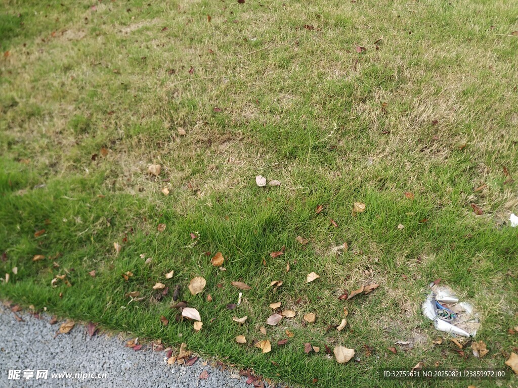 路邊草地與散落垃圾