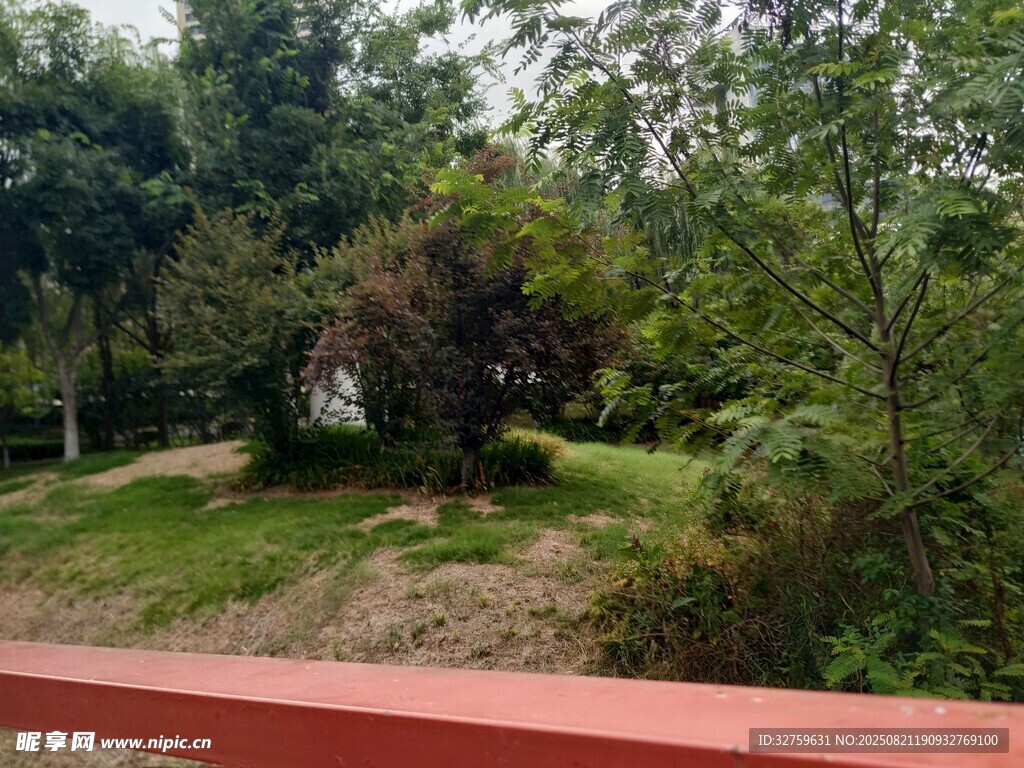 戶(hù)外綠樹(shù)環(huán)繞的寧?kù)o景致