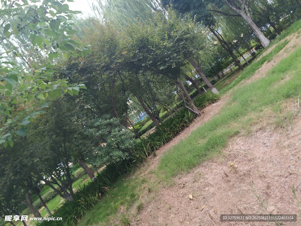戶(hù)外綠意盎然的自然小徑