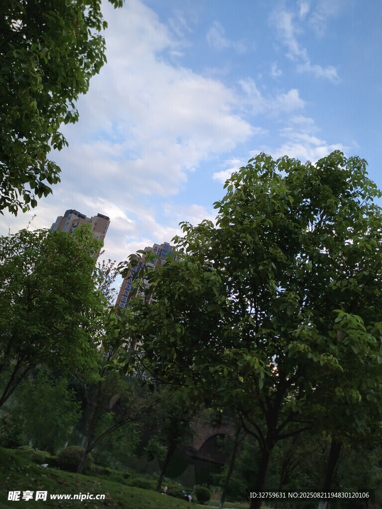 綠樹藍天的戶外景致