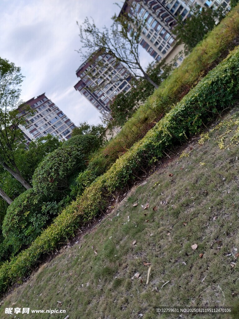 城市綠植與建筑物景觀(guān)