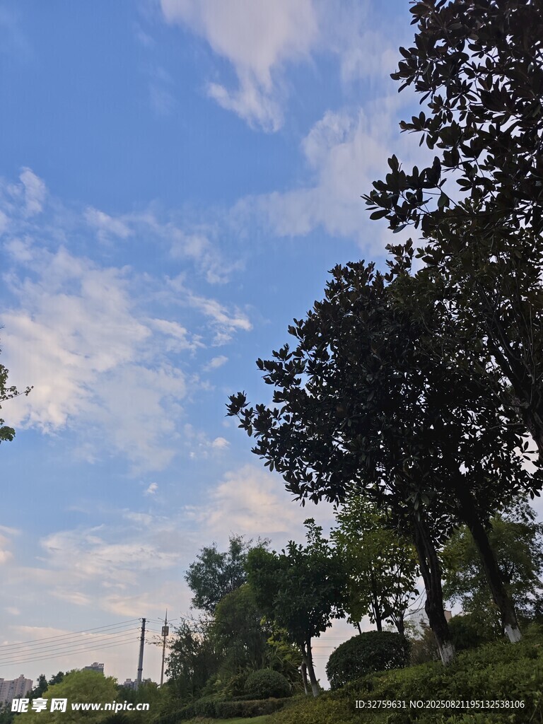 藍(lán)天白云下的綠樹風(fēng)景
