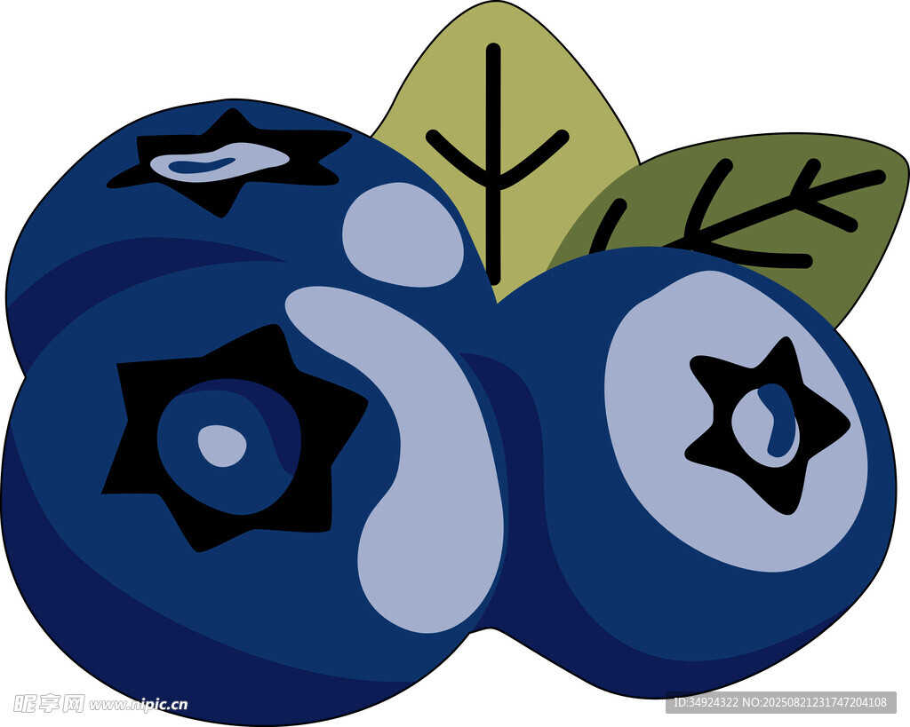 新鮮藍(lán)莓插畫