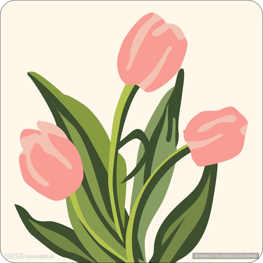 粉色郁金香插畫(huà)圖案
