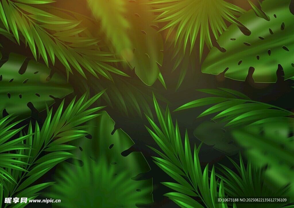 翠綠蕨類植物的自然景致