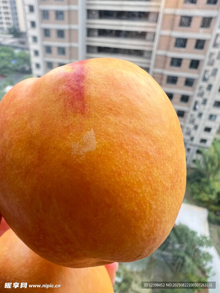 鮮黃桃子特寫