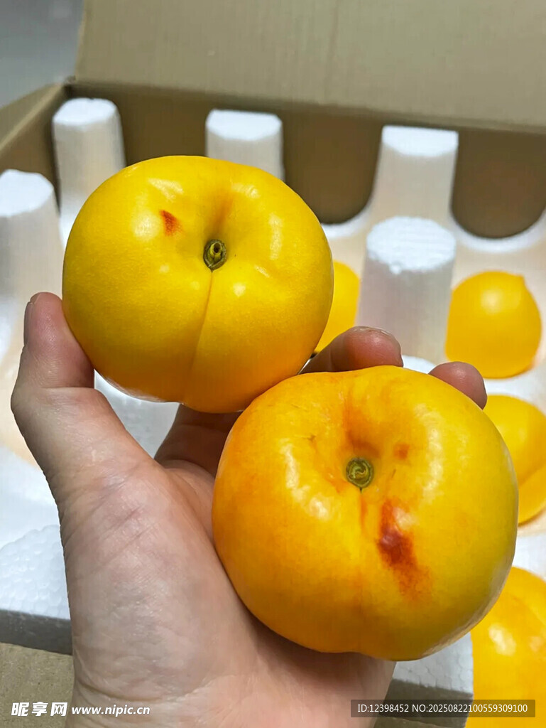 手捧新鮮黃蟠桃