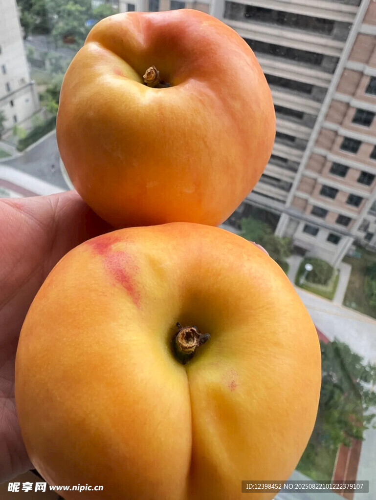 新鮮誘人的兩個(gè)大桃子