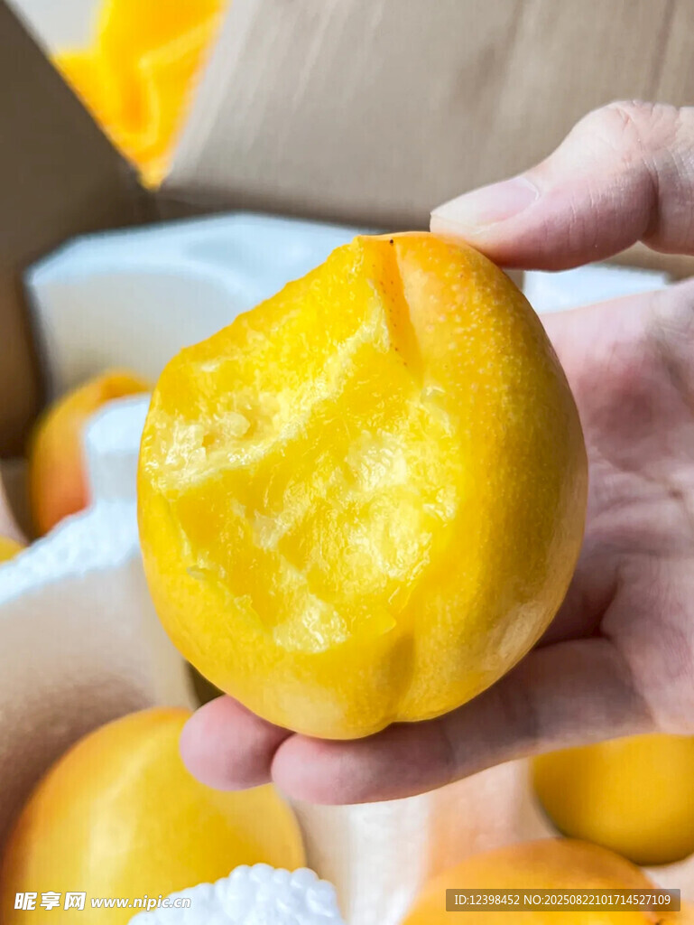 手捧黃桃鮮果
