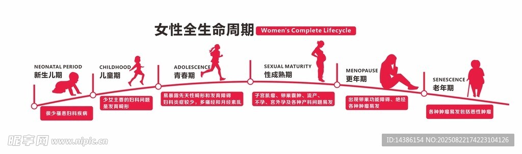 女性全生命周期文化墻