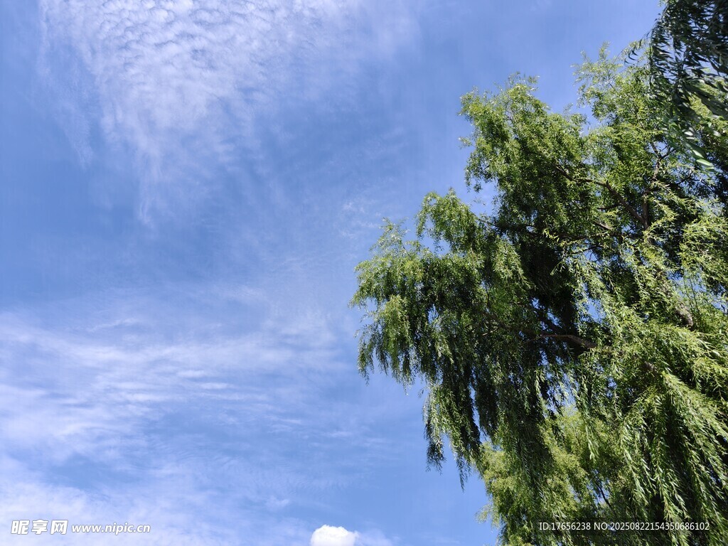 藍(lán)天綠樹風(fēng)景圖