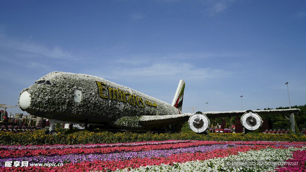 花卉裝點(diǎn)的夢(mèng)幻飛機(jī)景觀
