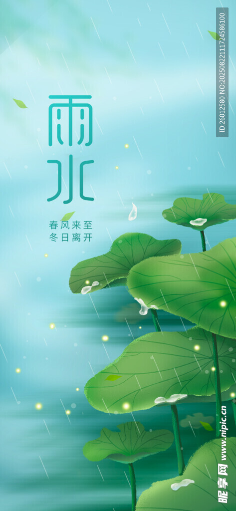 夏日荷塘 清新荷葉與雨滴 雨水