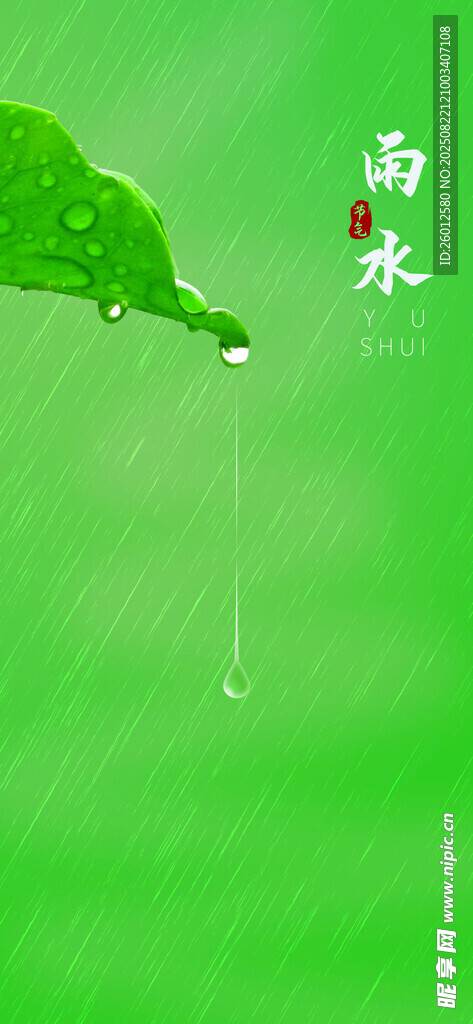 綠葉垂露 清新雨水景致