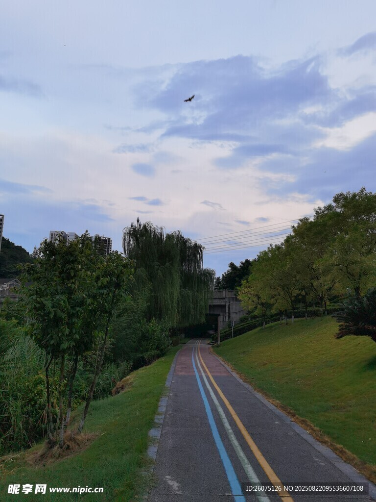 黃昏下的林間休閑步道