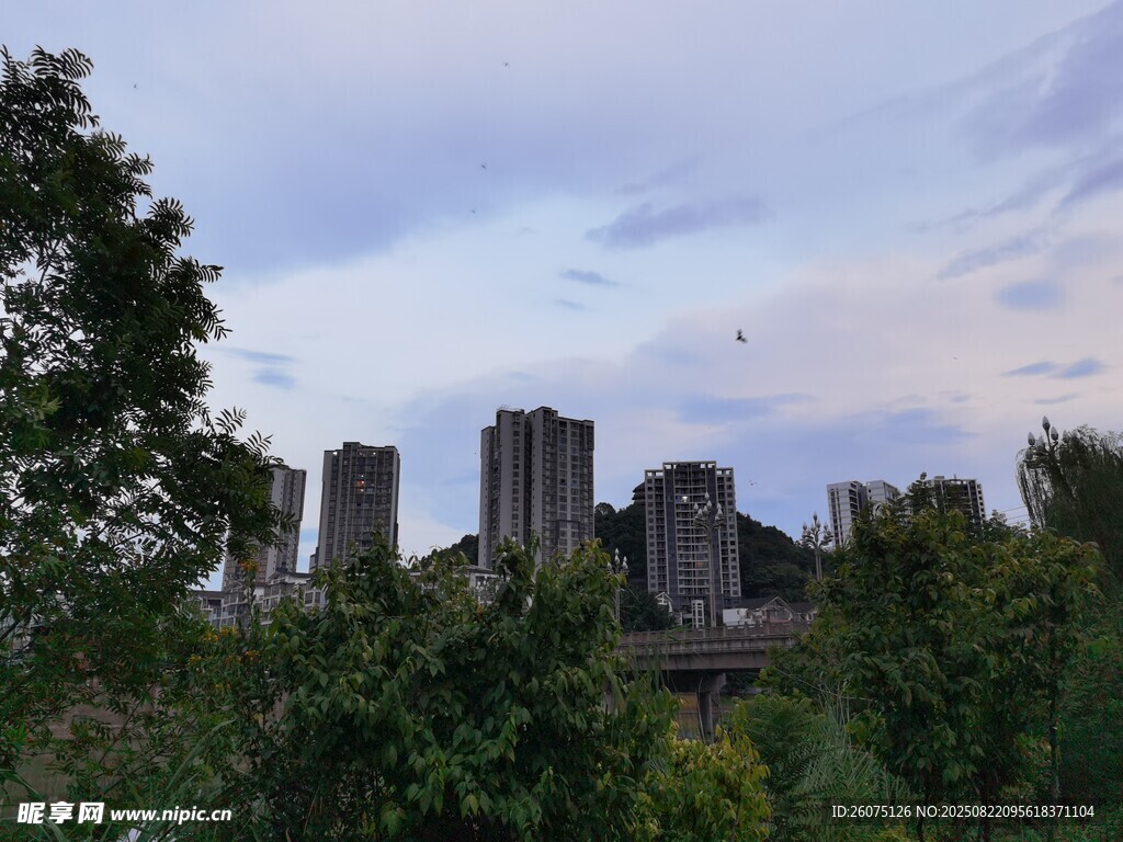 城市天際線(xiàn)與綠植景觀(guān)
