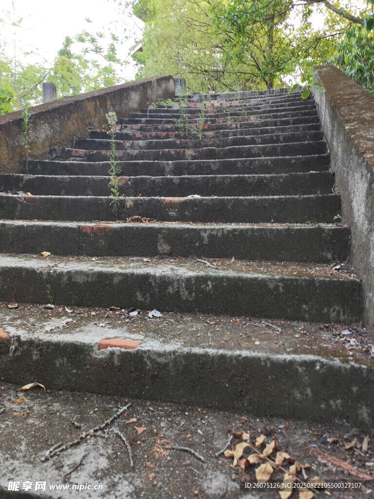 雨后林間潮濕的石階