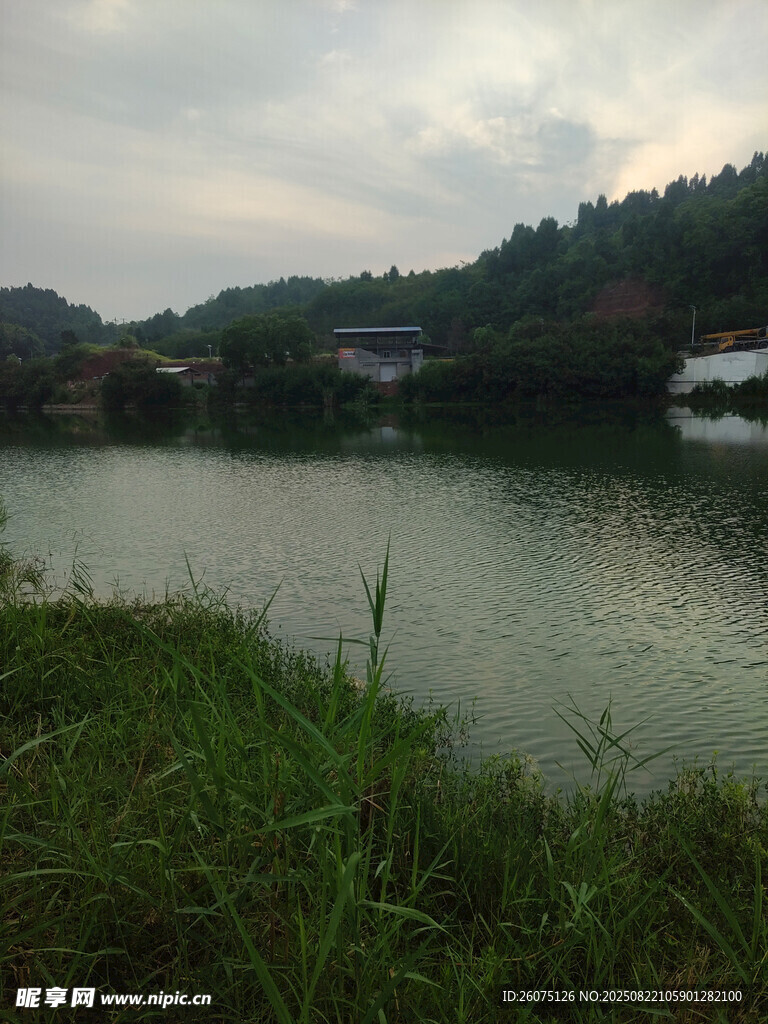 湖畔綠野寧靜自然風光