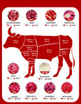 牛肉 分解圖 分布圖