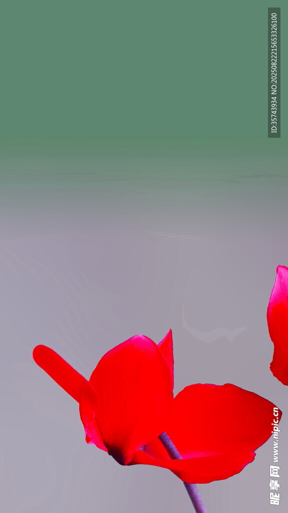 嬌艷紅花瓣