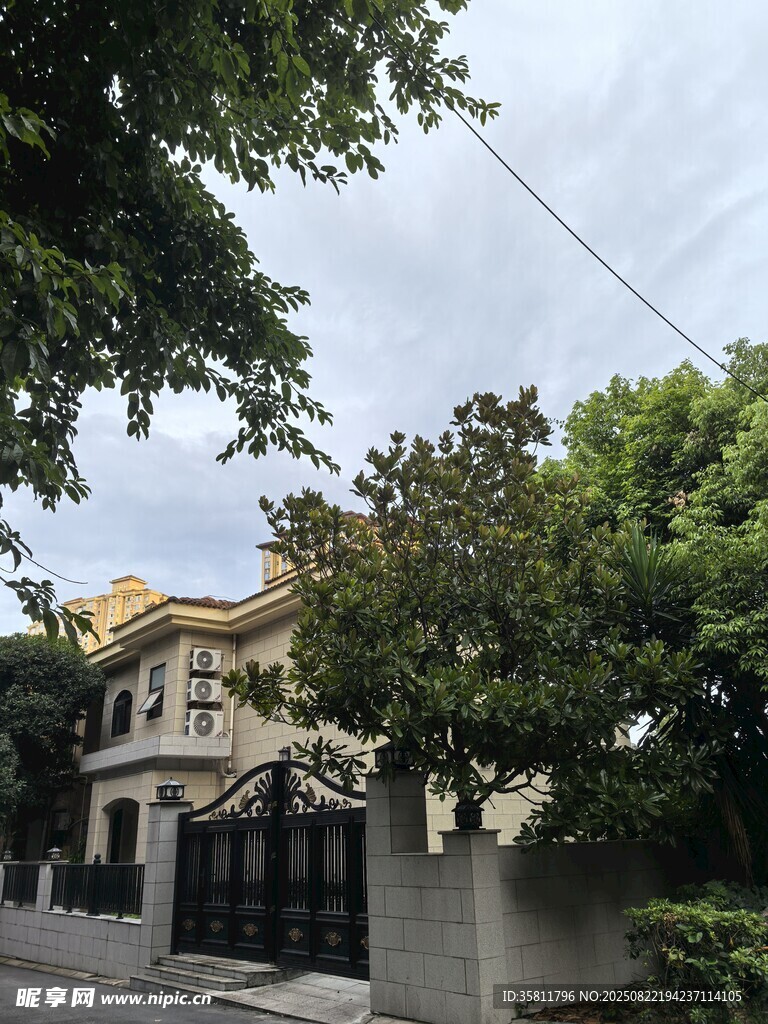 豪華別墅隱于綠樹之中