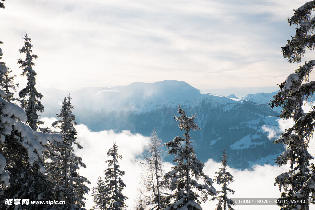 雪覆山林間的壯美云海景觀