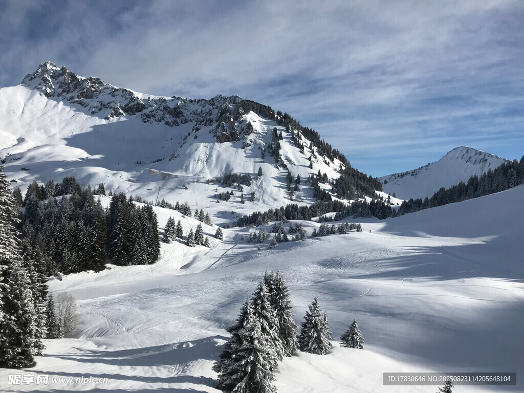 冬日雪山松林美景