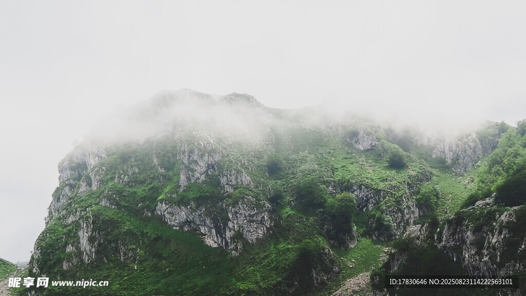 云霧繚繞的翠綠山峰