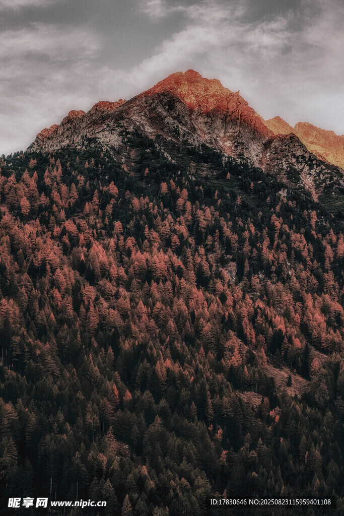 秋日山林美景