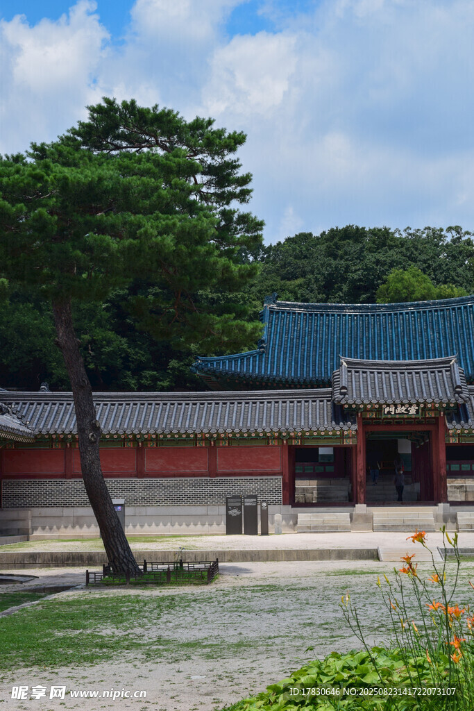 中式古建筑庭院景致
