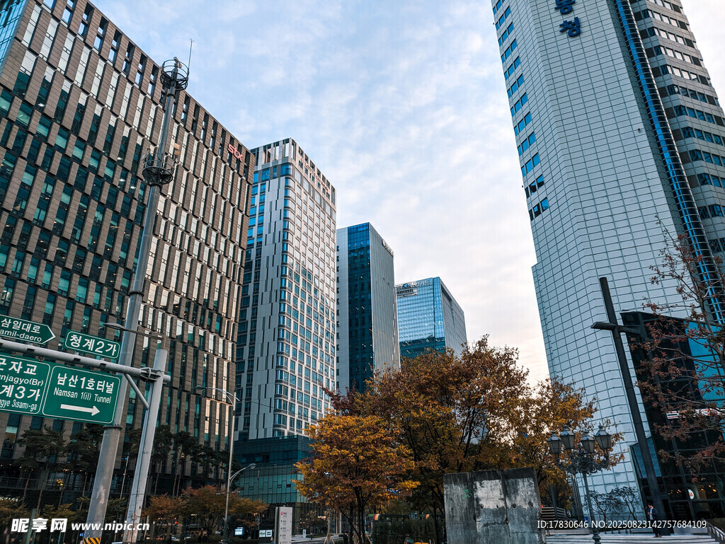 都市高樓林立的秋日街景