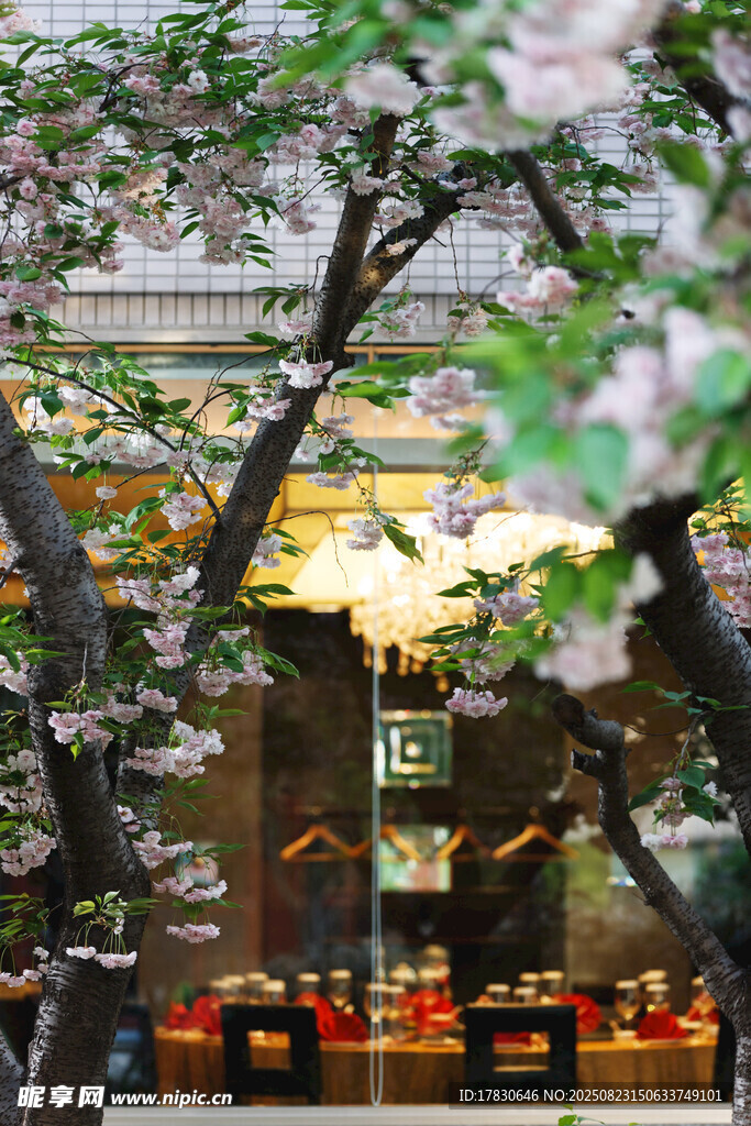 櫻花樹下的溫馨用餐場景
