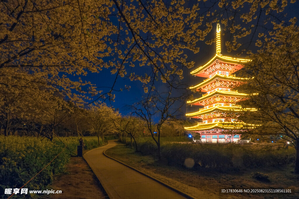 夜幕下的璀璨寶塔