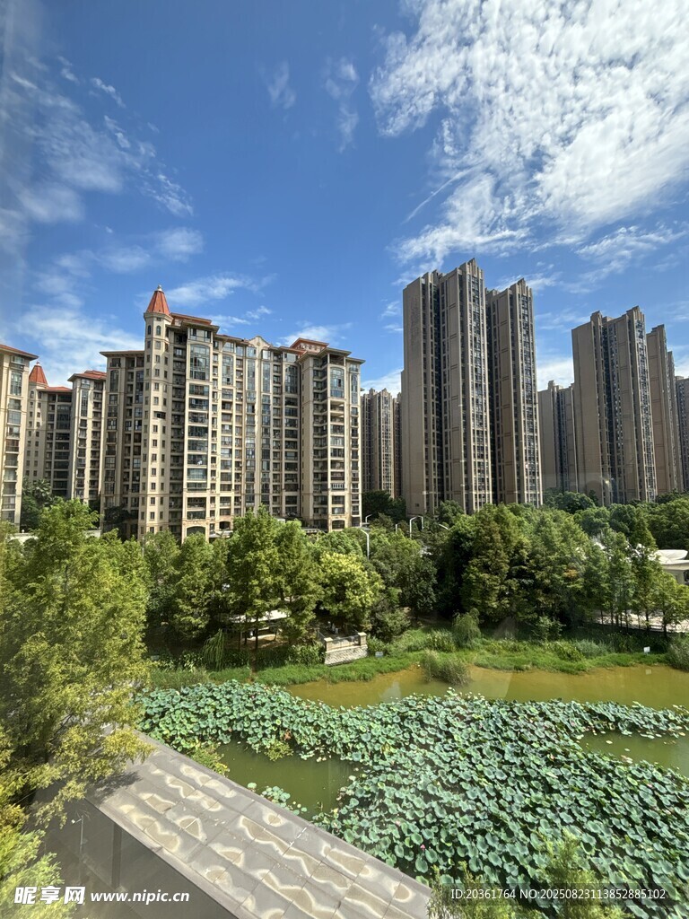 城市高樓旁的綠意景觀