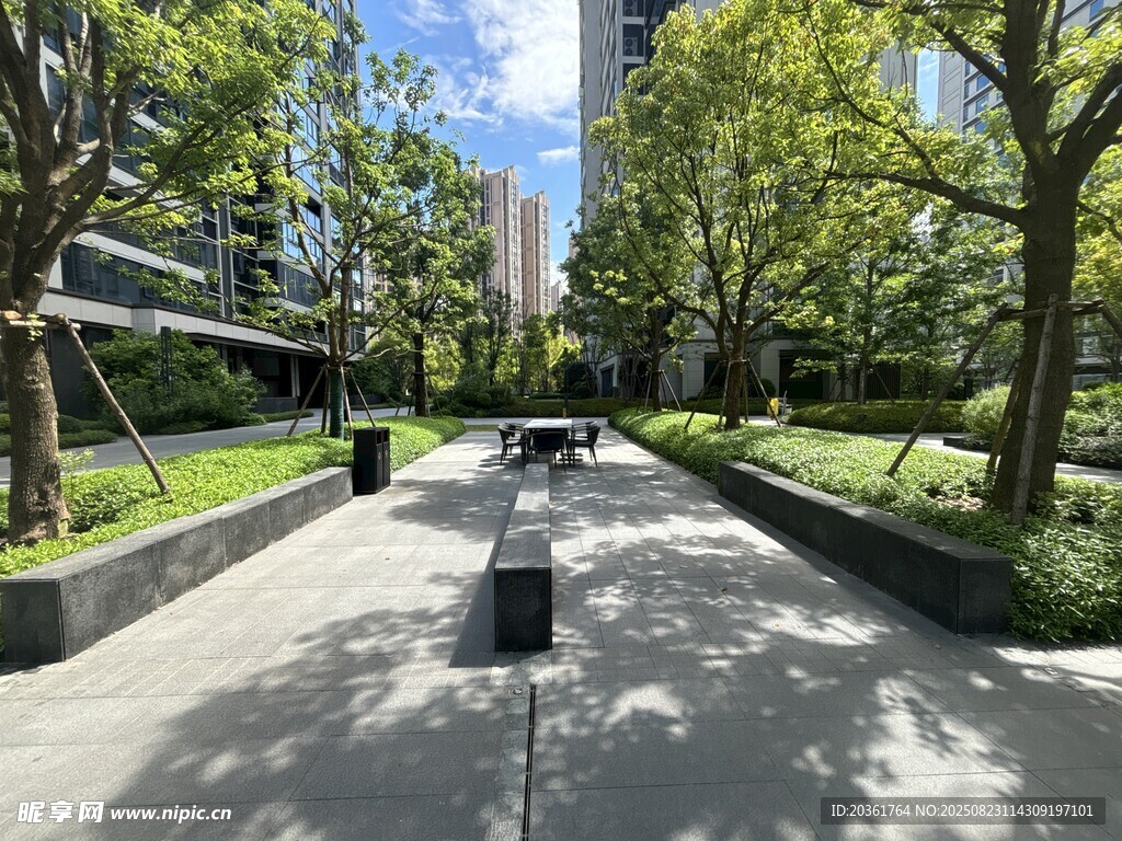 城市中靜謐的林蔭步道