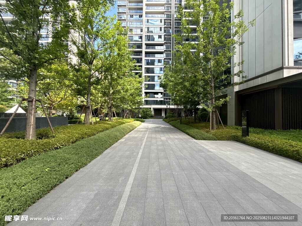 城市中靜謐的林蔭道路
