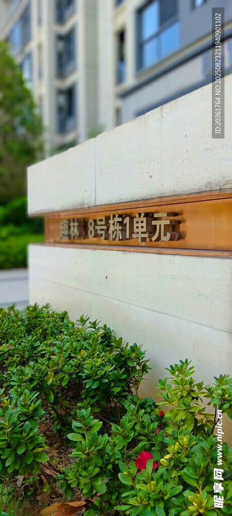 現(xiàn)代建筑旁的綠植景觀