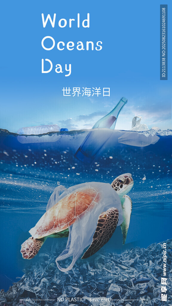 世界海洋日的海龜景象