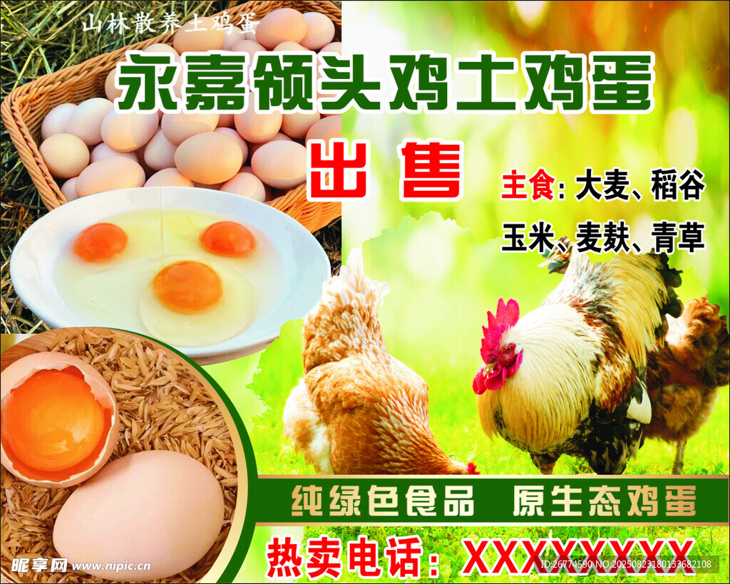土雞蛋出售
